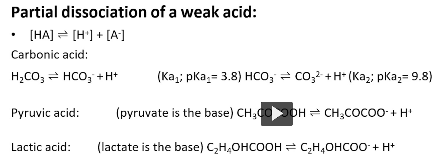 <p>they partially dissociate as seen in these equations, creating an equilibrium between the acid and the base.</p>
