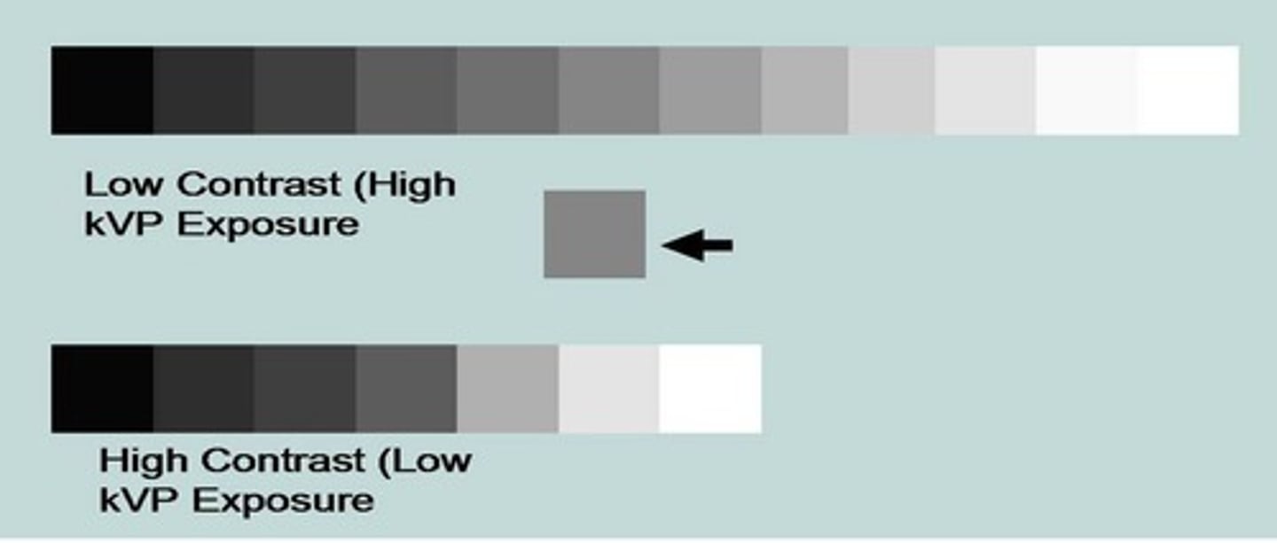 <ul><li><p>Short scale contrast (Low kVp)</p></li><li><p>Long scale contrast (High kVp)</p></li></ul><p></p>