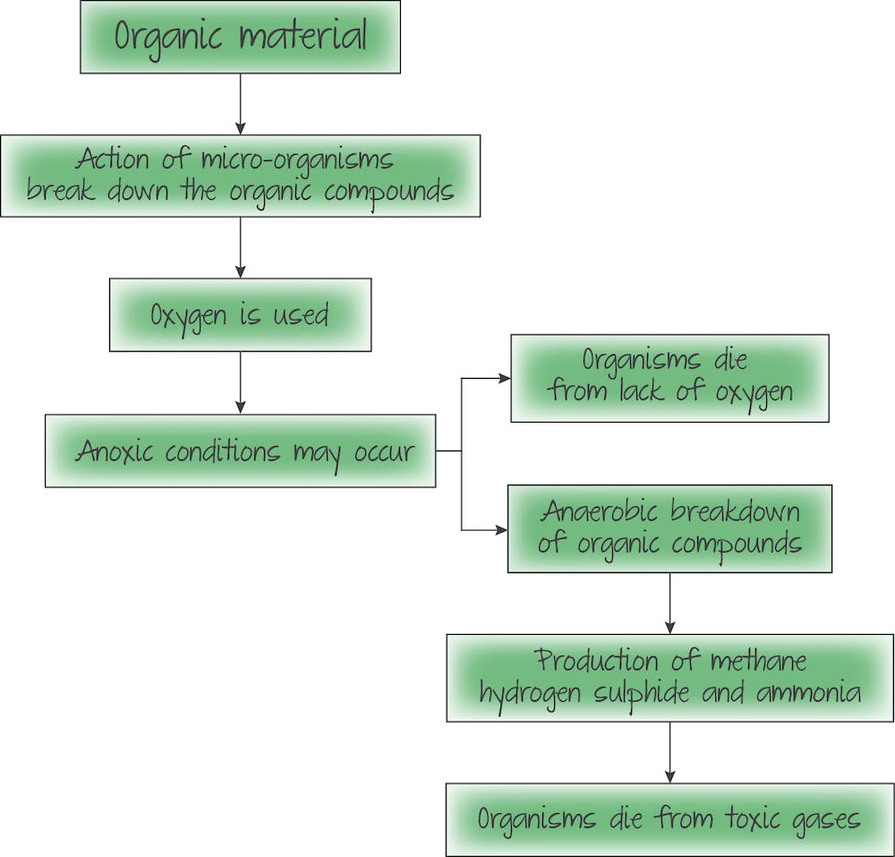 <p>Organic pollution: sewage effluent, farm runoff and waste from the food and drink industry (e.g. diaries, food processing, brewing and distilleries).</p><p>Synthetic non-biodegradable compounds: Invasive species, hot water, oil, noise pollution, light pollution, plastic debris, and pathogens.</p>