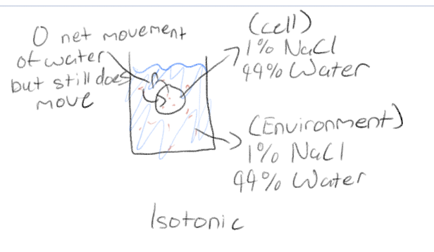 <p>Same solute concentration as inside cell</p>