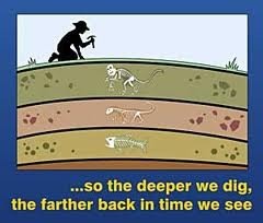 Method of determining the age of a fossil by comparing its placement with that of fossils in other layers of rock. Oldest fossils are found in deepest strata.