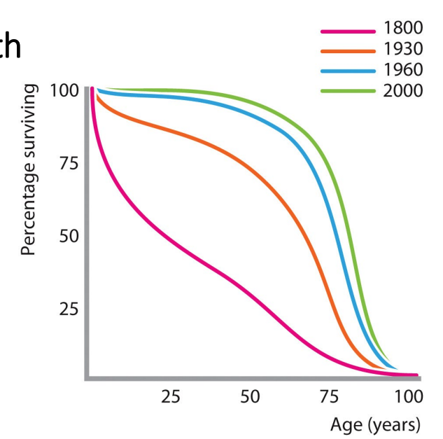 <p>Human survival increased thanks to (1800-1930):</p><p>- germ theory of disease</p><p>- aseptic techniques</p><p>- Improvements in sanitation</p><p>1930-1960:</p><p>- development of antibiotics</p><p>- procedures considered routine today were life-threatening pre-antibiotics</p>