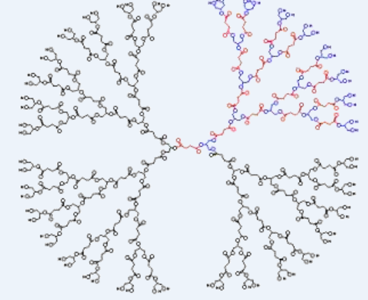 <ul><li><p>Dendrimers have cavities (empty pockets or holes) formed by their branched structure</p></li><li><p>These cavities can bind various molecules</p><ul><li><p>fx.: those targeting cancer cells and others that detect if the cancer cells are dead</p></li></ul></li><li><p>The dendrimer's branched structure allows it to hold and release multiple functional molecules, making it useful for targeted drug delivery, diagnostics, and therapy</p></li></ul><p>(photo - singular mol.)</p>