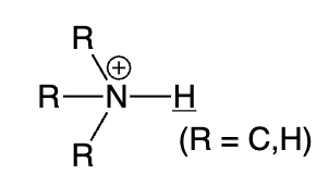 <p>protonated amine</p>