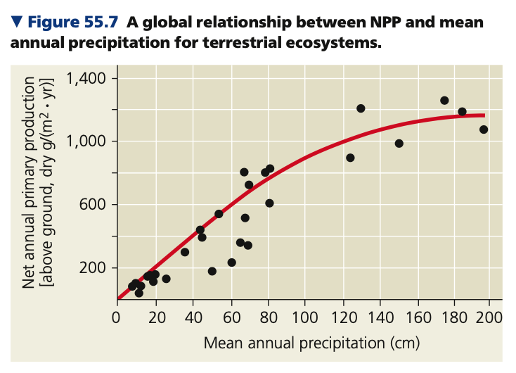 Terrestrial ecosystems
● Because of these two factors, _____ rain forests are very productive (they are warm + wet)
● In contrast, ___ ecosystems are not very productive, including:
○ Cold + dry (ex. tundra)
○ Hot + dry (ex. desert)
● Ecosystems with _______ climates have
intermediate productivity (ex. grasslands)