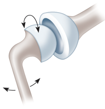 What type of synovial joint is listed in the picture?