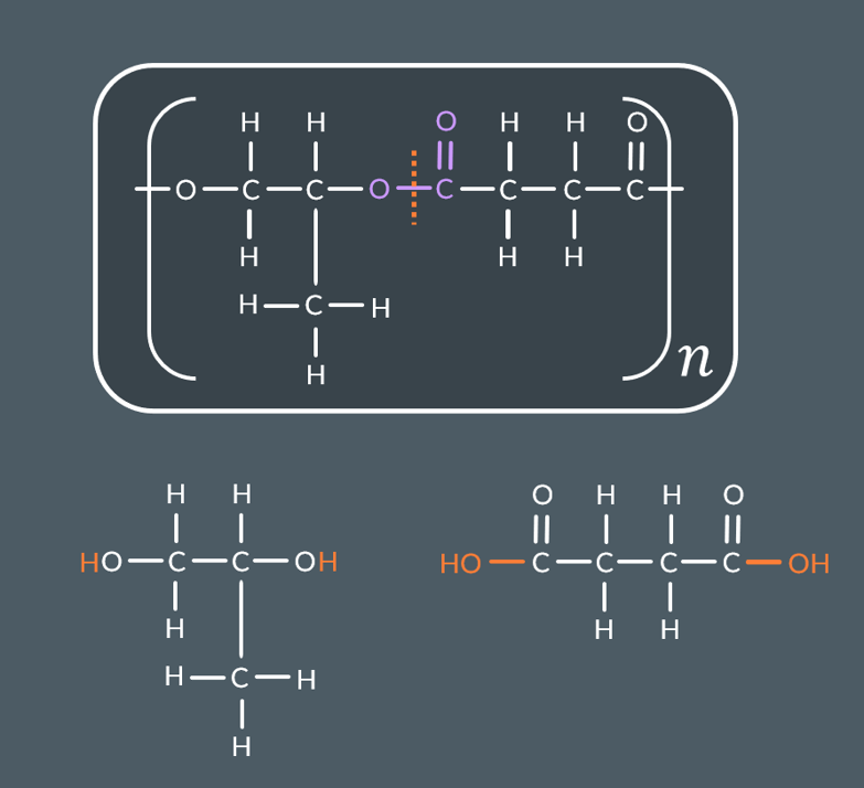 <ol><li><p><span>Break all ester links</span></p></li><li><p><span>Add&nbsp;HH&nbsp;to all the&nbsp;C-O&nbsp;groups created by step&nbsp;1</span></p></li><li><p><span>Add&nbsp;OHOH&nbsp;to all the&nbsp;C(=O)-&nbsp;groups created by step&nbsp;1&nbsp;(or&nbsp;ClCl&nbsp;if you’re told that the monomer(s) include acyl chloride groups)</span></p></li></ol><p></p>