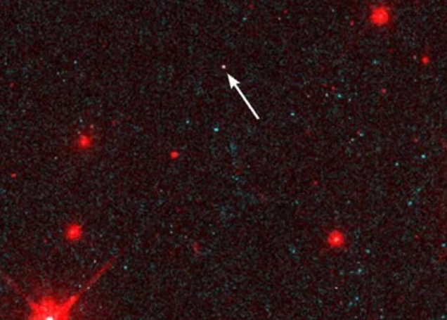 term image
