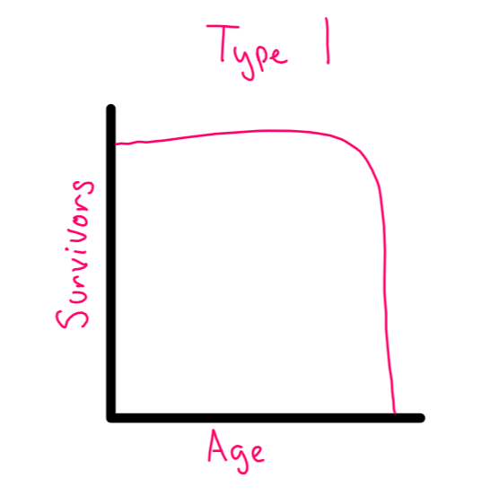 <p>Survivorship Curve- Type 1</p>