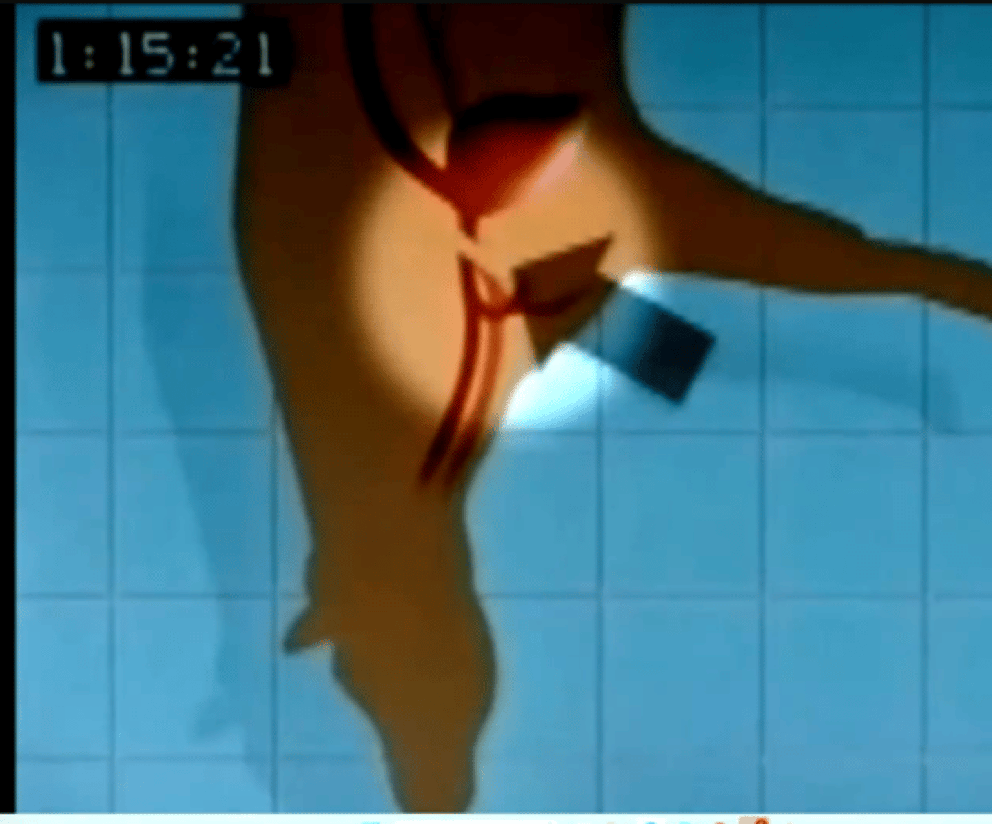 <p>Ascending aorta</p><p>Cattle and pigs- for a better bleed out, and their(pigs and cattle) vessels to the brain are near the spine so more difficult to cut by cutting the head and the thoracic ones are more easily accessible in the chest close to where they emerge from the heart.</p>