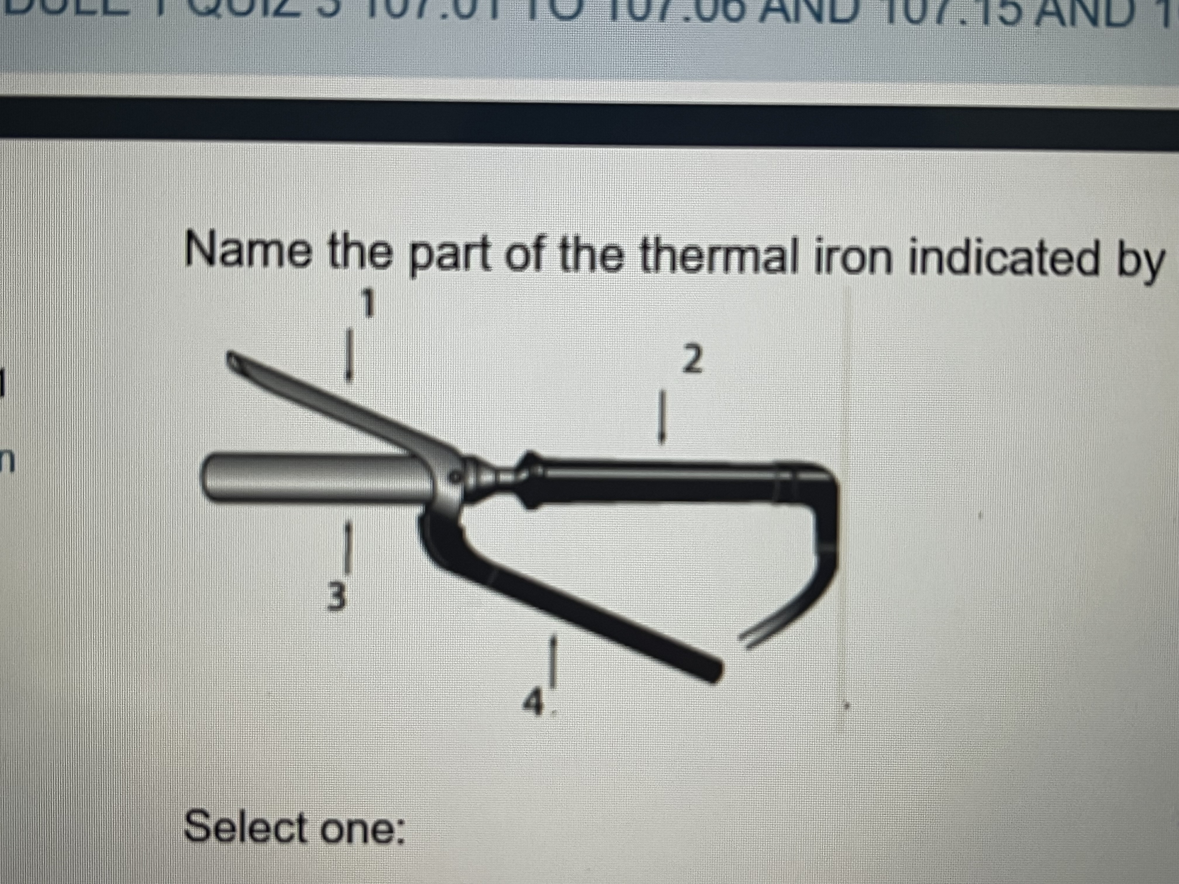 <p>Name the part of the thermal iron indicated by the number 1</p>