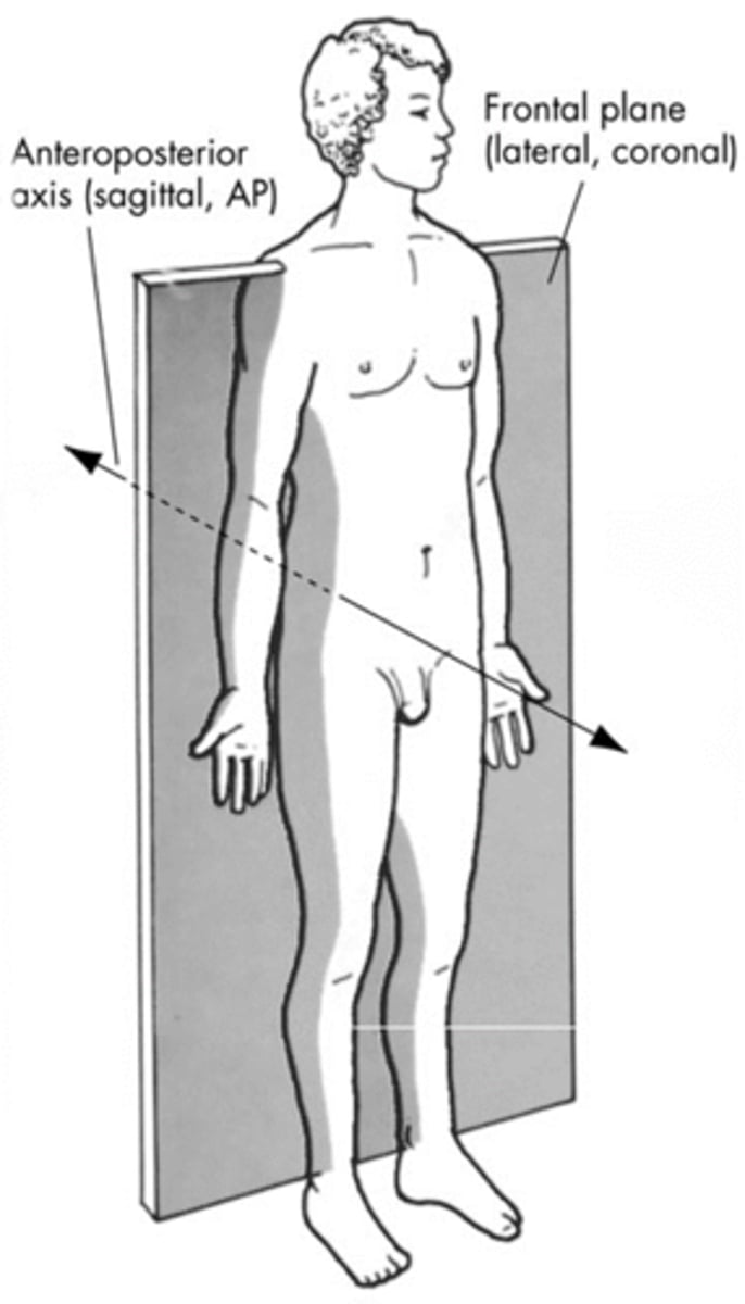 <p>perpendicular to frontal plane</p>