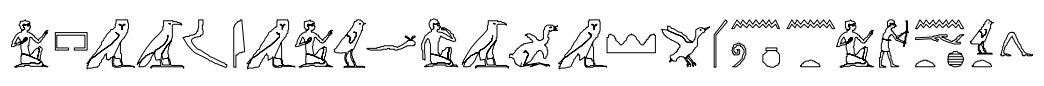 term image