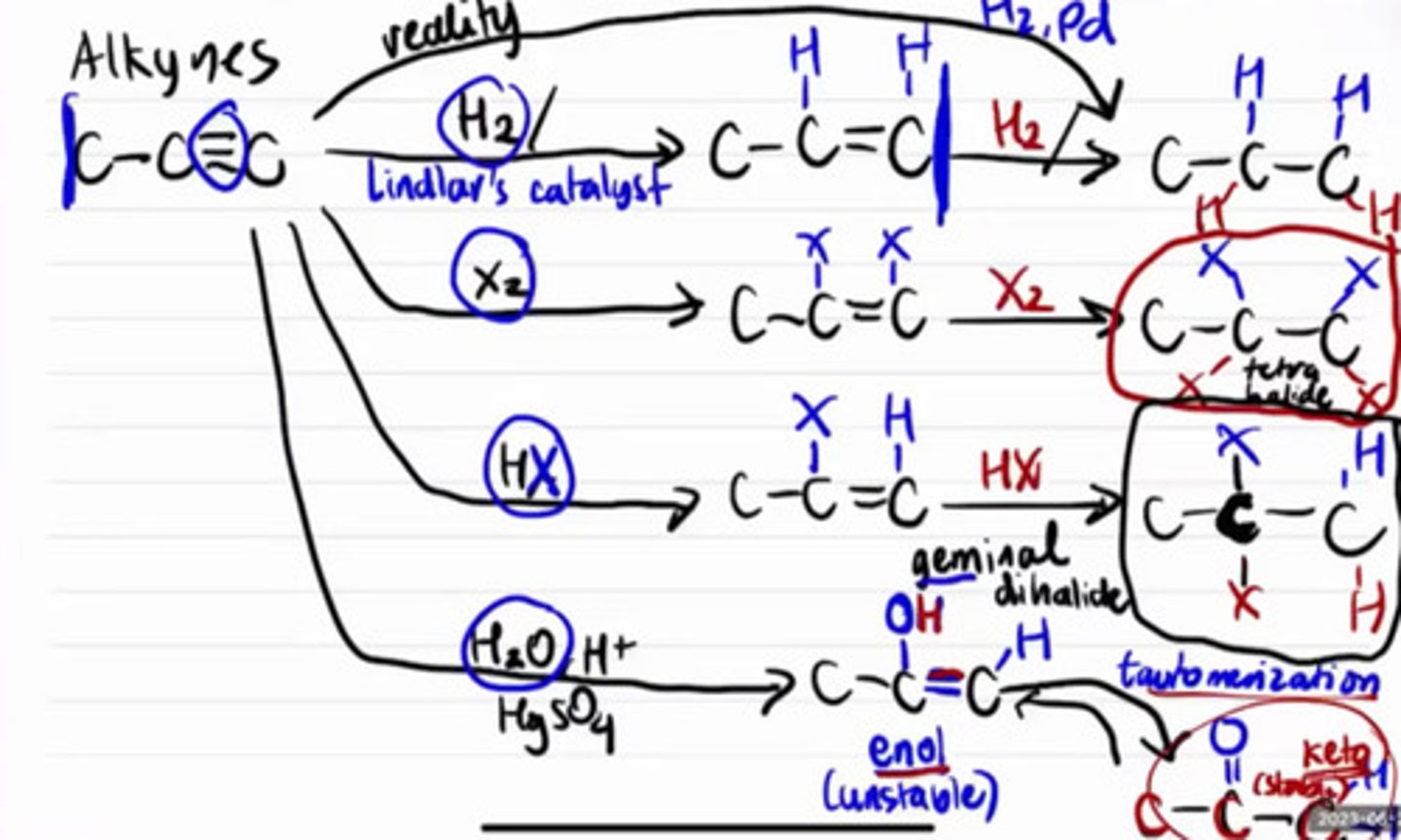 knowt flashcard image