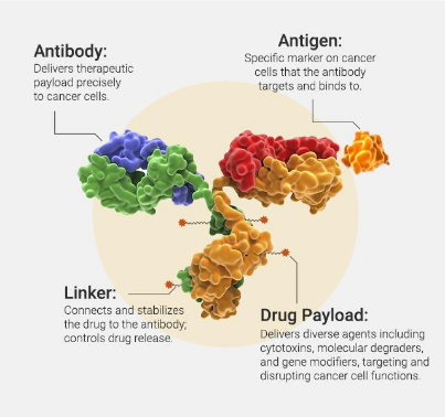 <p>Why is it important to study Biochemistry?</p>