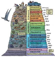 <p>The oldest and youngest habitats in the layers had sea creatures in them. This means that they were both watery areas. The middle habitat contained dinosaurs. This meant that it was a land area. The rock layers show that the habitats went from water, to land, and back to water over time</p>