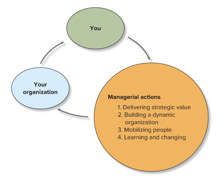 <p>You → Your Organization → Managerial Actions </p>
