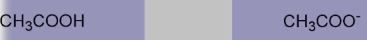 <p>Acetic Acid (<strong><u>Carboxylic Acid</u></strong>), Acetate ion</p>