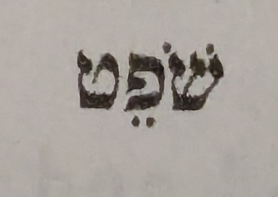 term image