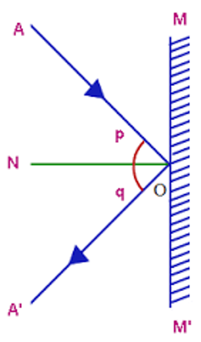 <p>The line at a right angle to the mirrors surface. Labelled as N.</p>