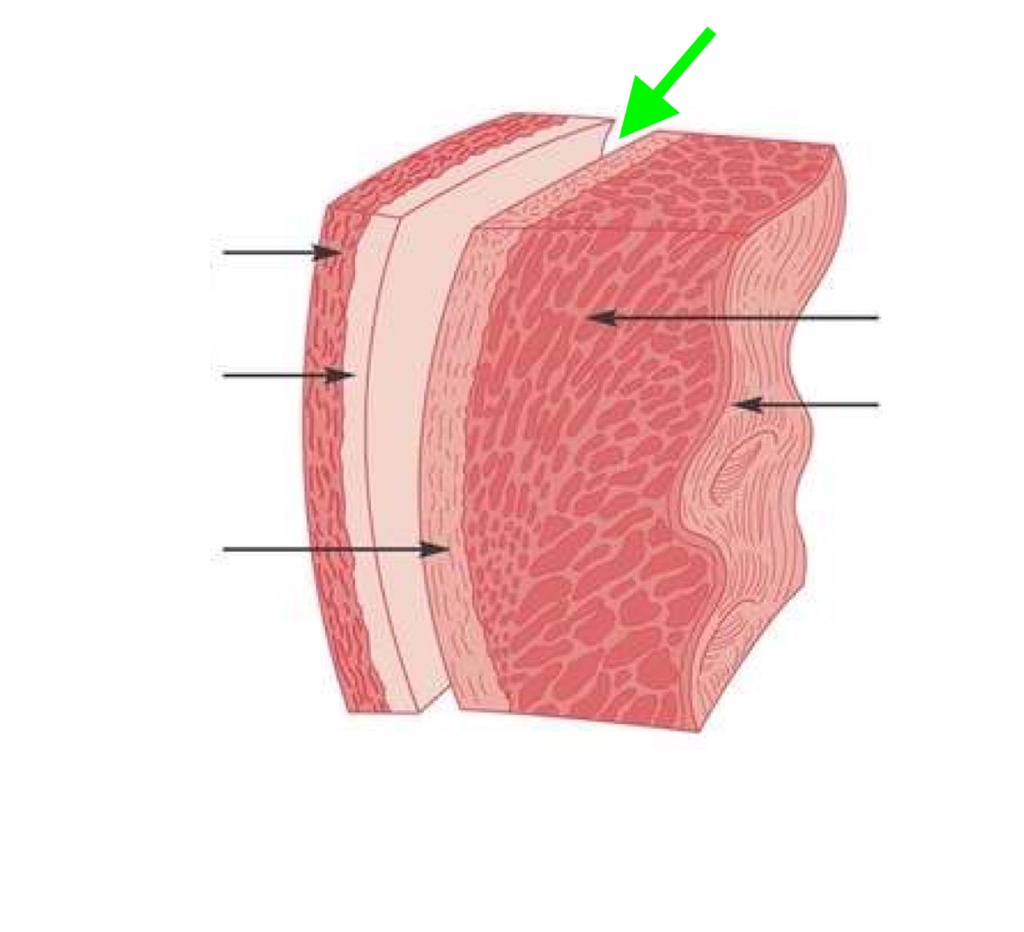 <p>what is this?</p>