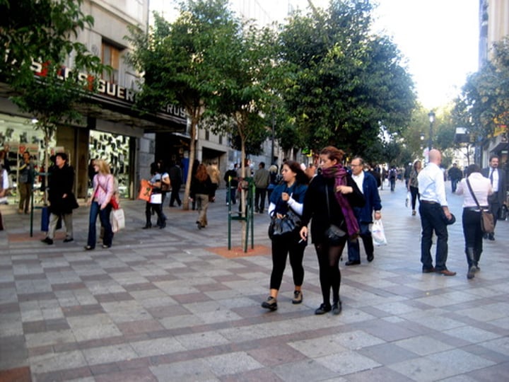 <p>Calle o lugar sin coches donde la gente puede caminar</p>