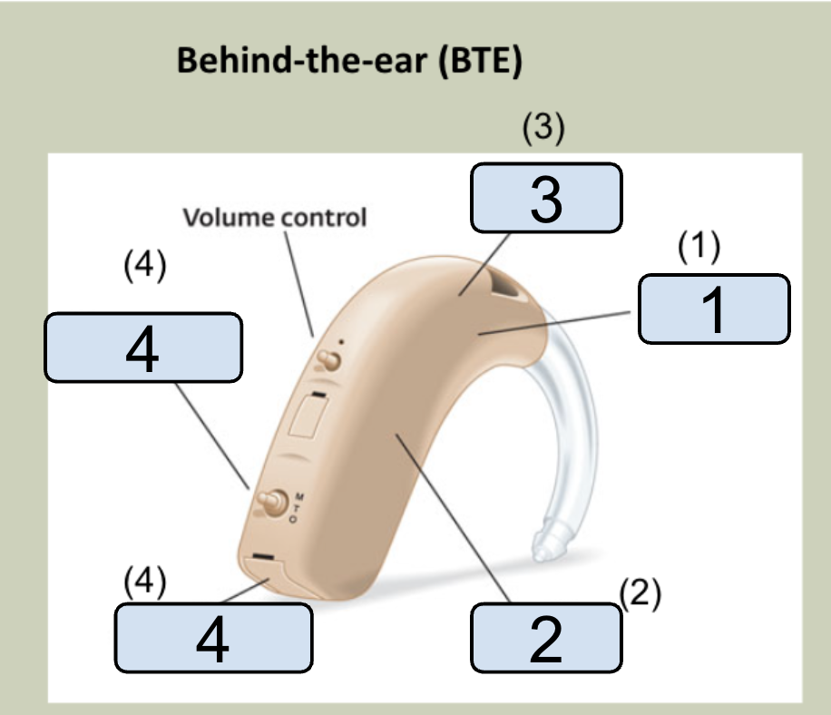 <p>Identify the parts of the BTE HA</p>