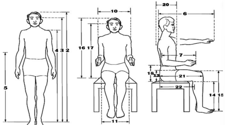 <p>a french police clerk; founder of criminal identification (for providing the first systematic identification system); bertillonage system/anthropometry </p>