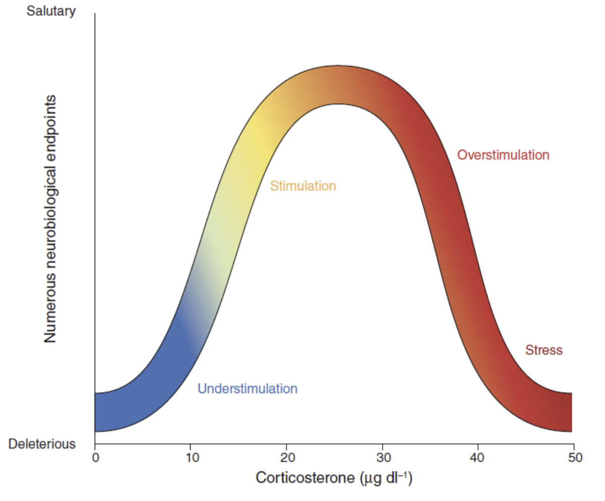 <ul><li><p>Conceptualization of the inverted-U in the context of the benefits and costs of stress</p></li><li><p>A broad array of neurobiological endpoints show the same property, which is that stress in the mild-to-moderate range has beneficial, salutary effects; subjectively, when exposure is transient, we typically experience this range as being stimulatory</p></li><li><p>In contrast, both the complete absence of stress, or stress that is more severe and/or prolonged than that in the stimulatory range, have deleterious effects</p></li></ul><p></p>