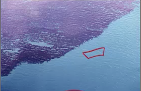 <p>What is the name of this event?</p>