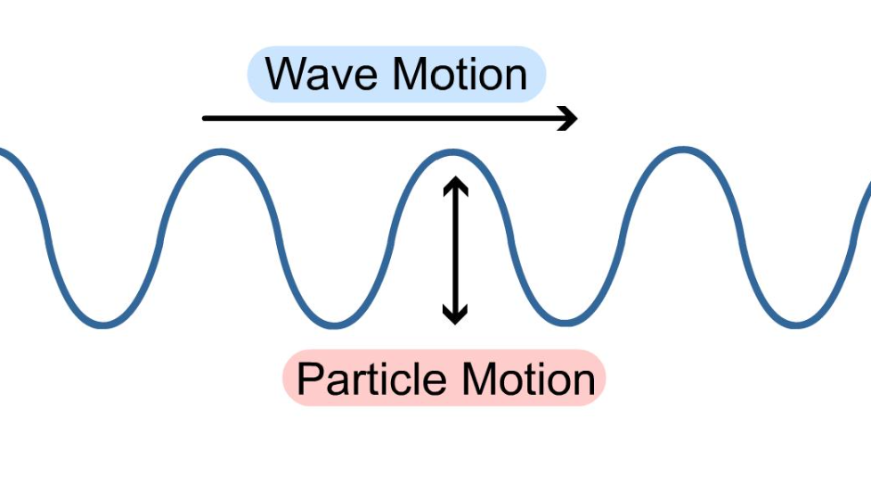 Vibrations occur perpendicular (90) to the direction in which the wave is travelling

\
e.g. EM waves, Ripples on water, a slinky wiggled up and down 