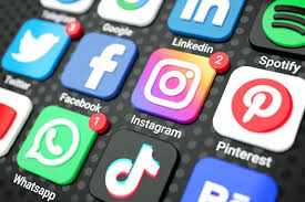 <p>social network </p>
