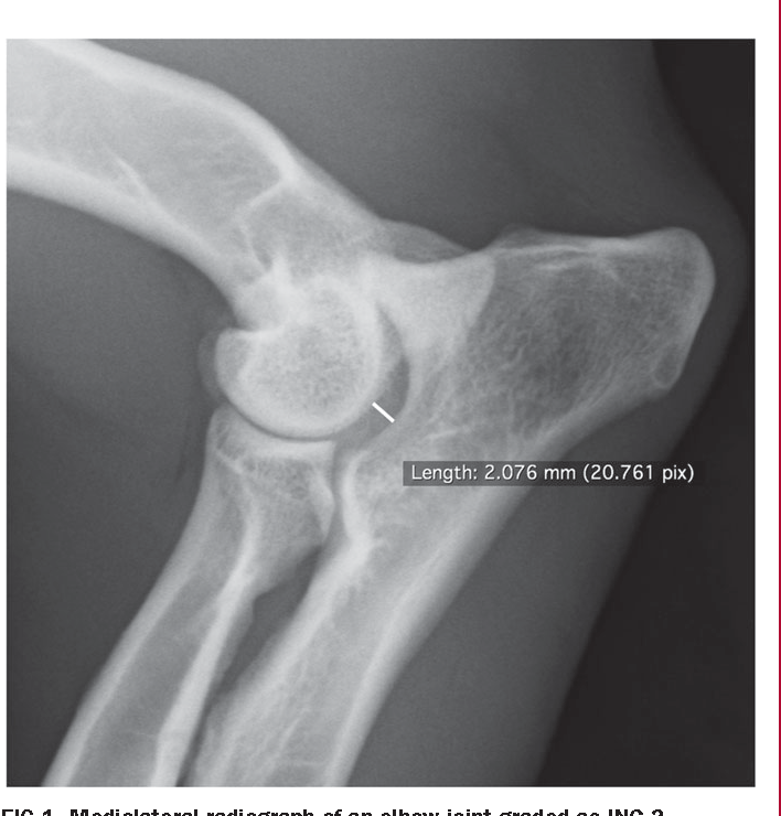 <p>X rays in standard views will see osteophytes formation; evaluated in mm: the disproportion between the size of the trochlear notch of the ulna, the condyles of the humerus, and the fossa olecrani (increased radioulnar joint space seen as radiolucent area)</p>