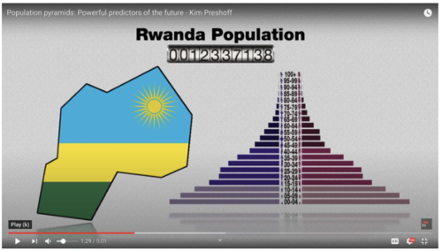 <p>positive population growth</p>