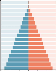 <p>young and growing</p><p>looks like triangle</p><p>slowly developing countries</p><p>e.g. Nigeria</p>