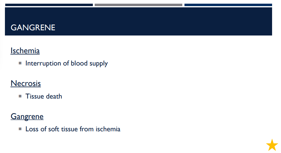 <p>In the context of gangrene, what is ischemia?</p>