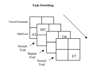 <ul><li><p>attempted to fractionate executive function in component variables using behavioural tasks &amp; factoral analysis</p></li><li><p>Healthy p did several tasks → task switching, response inhibition task etc </p></li><li><p>they slower in switch trials than repeated trials</p></li><li><p>study identified 3key components of executive function: </p><ul><li><p>updating (updating working memory)</p></li><li><p>shifting (changing approach when required)</p></li><li><p> inhibition</p><ul><li><p>any complex task requires these 3 different sources </p></li></ul></li></ul></li></ul><p></p>