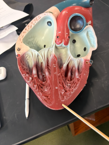 <p>What is this?</p>