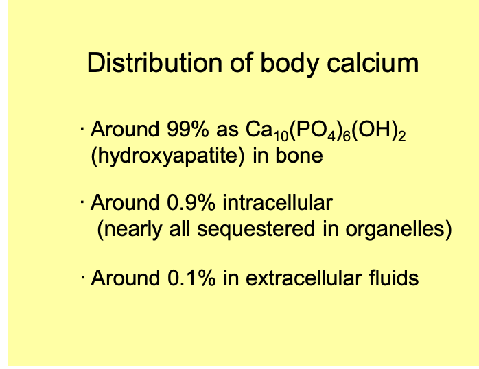 <ul><li><p>Calcium phosphate salts in bones</p></li></ul><p></p>