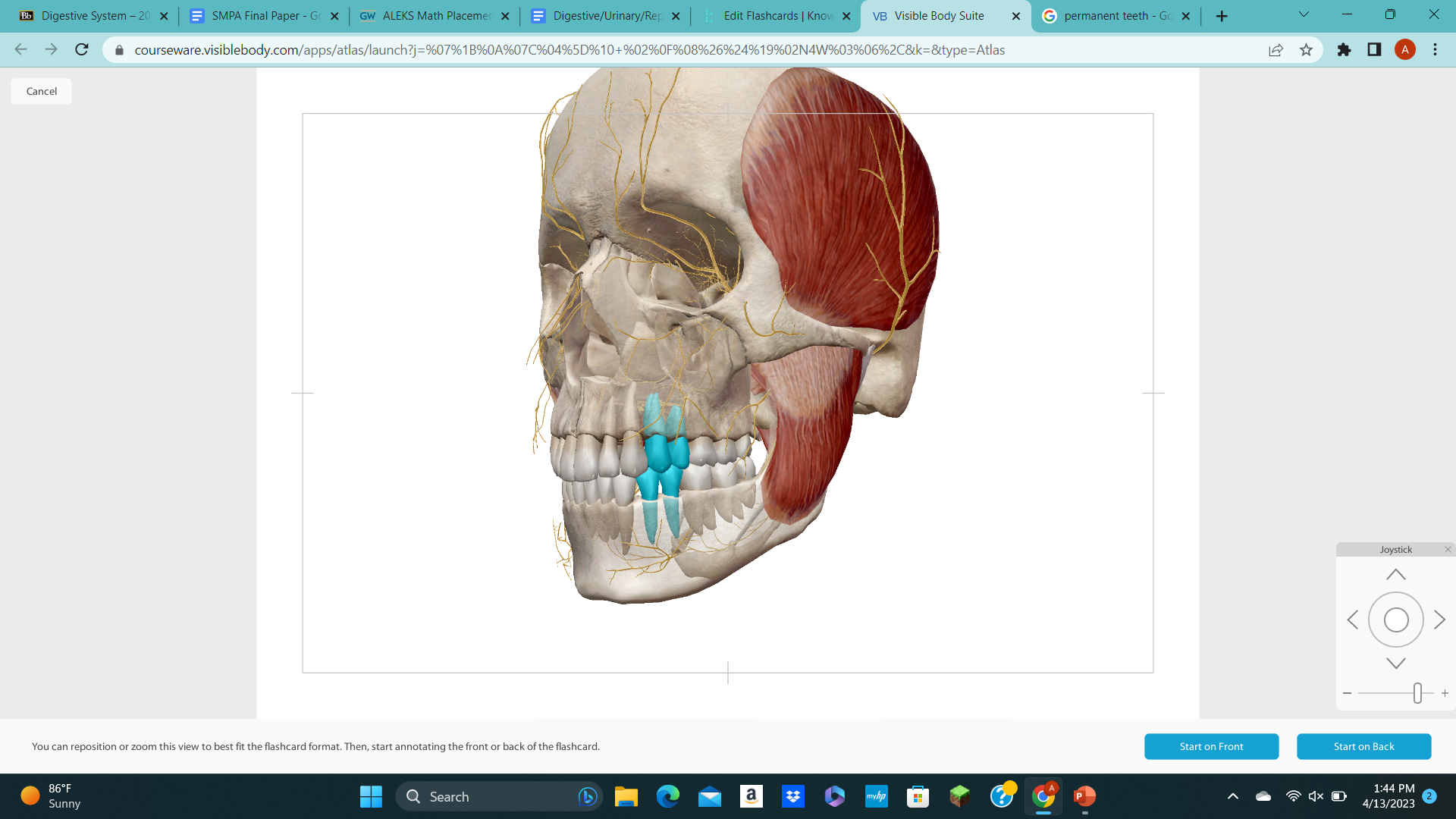 knowt flashcard image