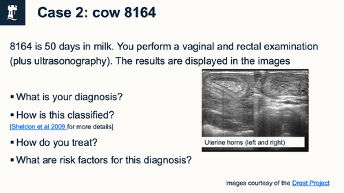 <p>case 4 what are risk factors for this?</p>
