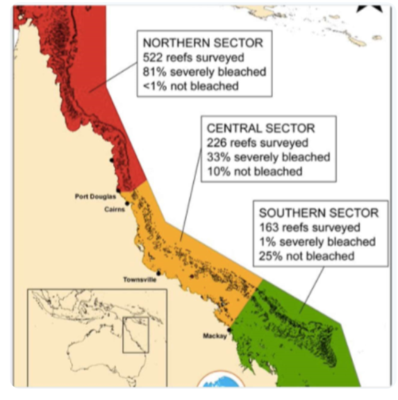 <ul><li><p>predictions→ north- 81% severely bleached, central- 33% severely bleached south- 1% severely bleached</p></li></ul><p></p>