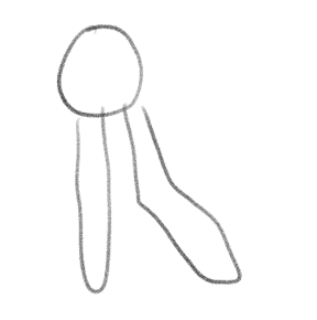 <p>Phospholipids</p>