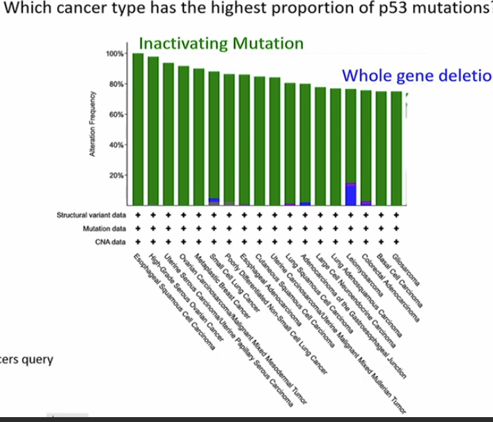 <ul><li><p>Esophageal Squamous Cell carcinoma </p></li></ul><p>inactivating mutation - gene product having no function</p>