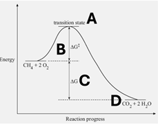 <p>In the figure below, which of the following energy is changed by an enzyme? [energy]</p>