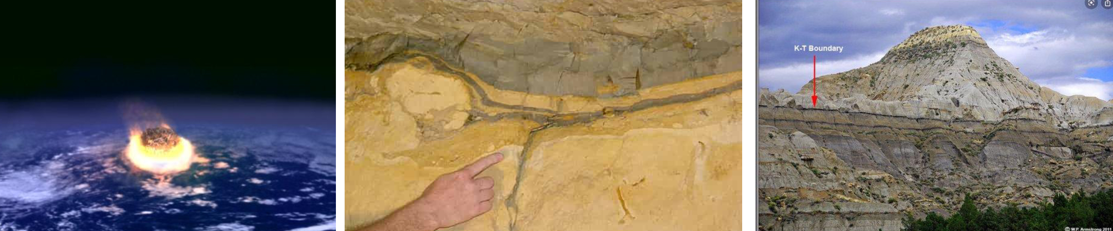 <p><strong>End Cretaceous (K-T extinction)</strong></p>