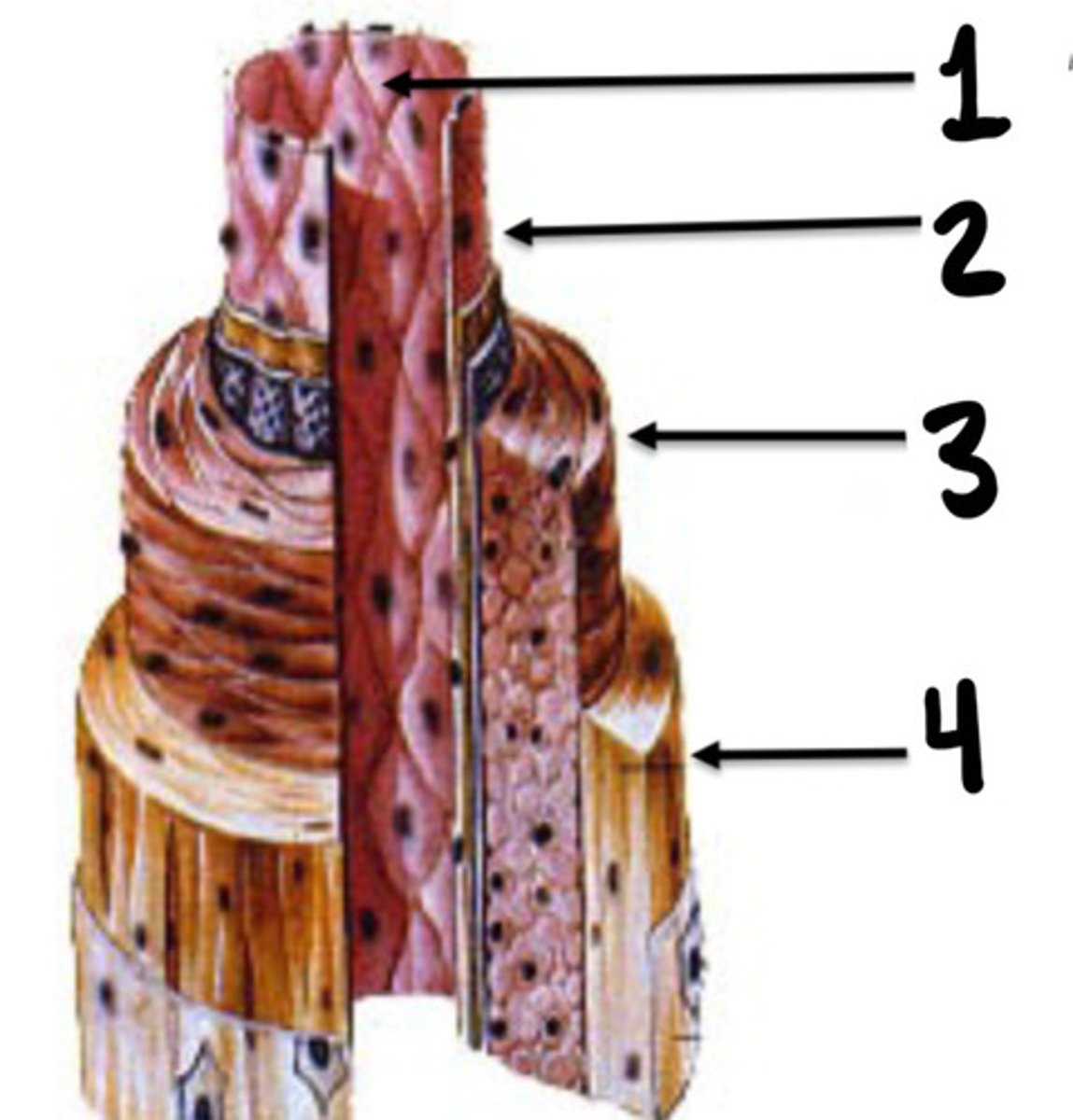 <p>What is 4</p>