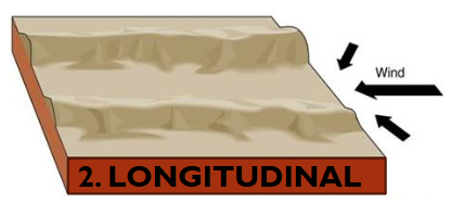 <ul><li><p>Long ridge of sand running parallel to wind direction</p></li><li><p>limited supply of sand</p></li><li><p>Little to no vegetation</p></li><li><p>Persistent cross winds</p></li></ul><p></p>