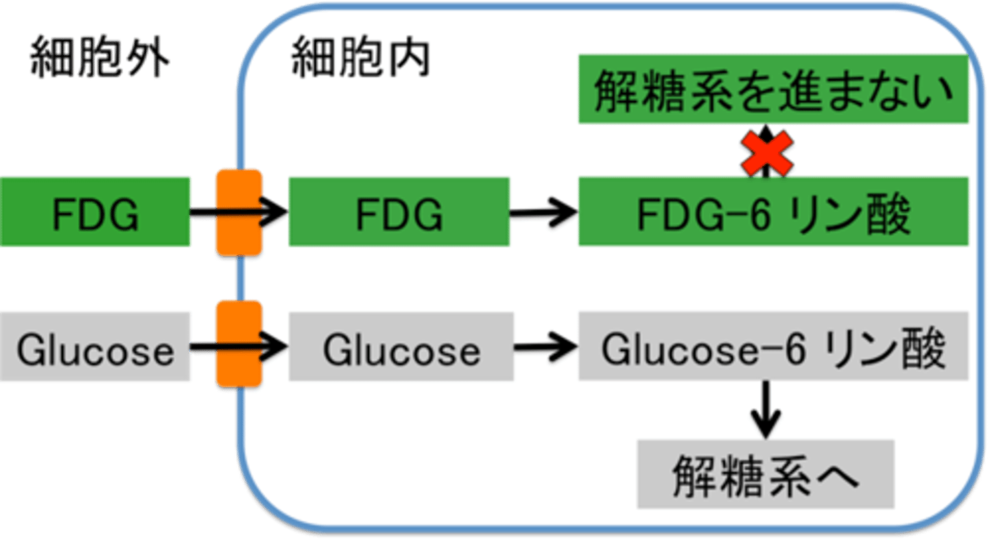 <p>giành được</p>