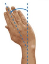 <p>movement of the hand away from the midline</p>